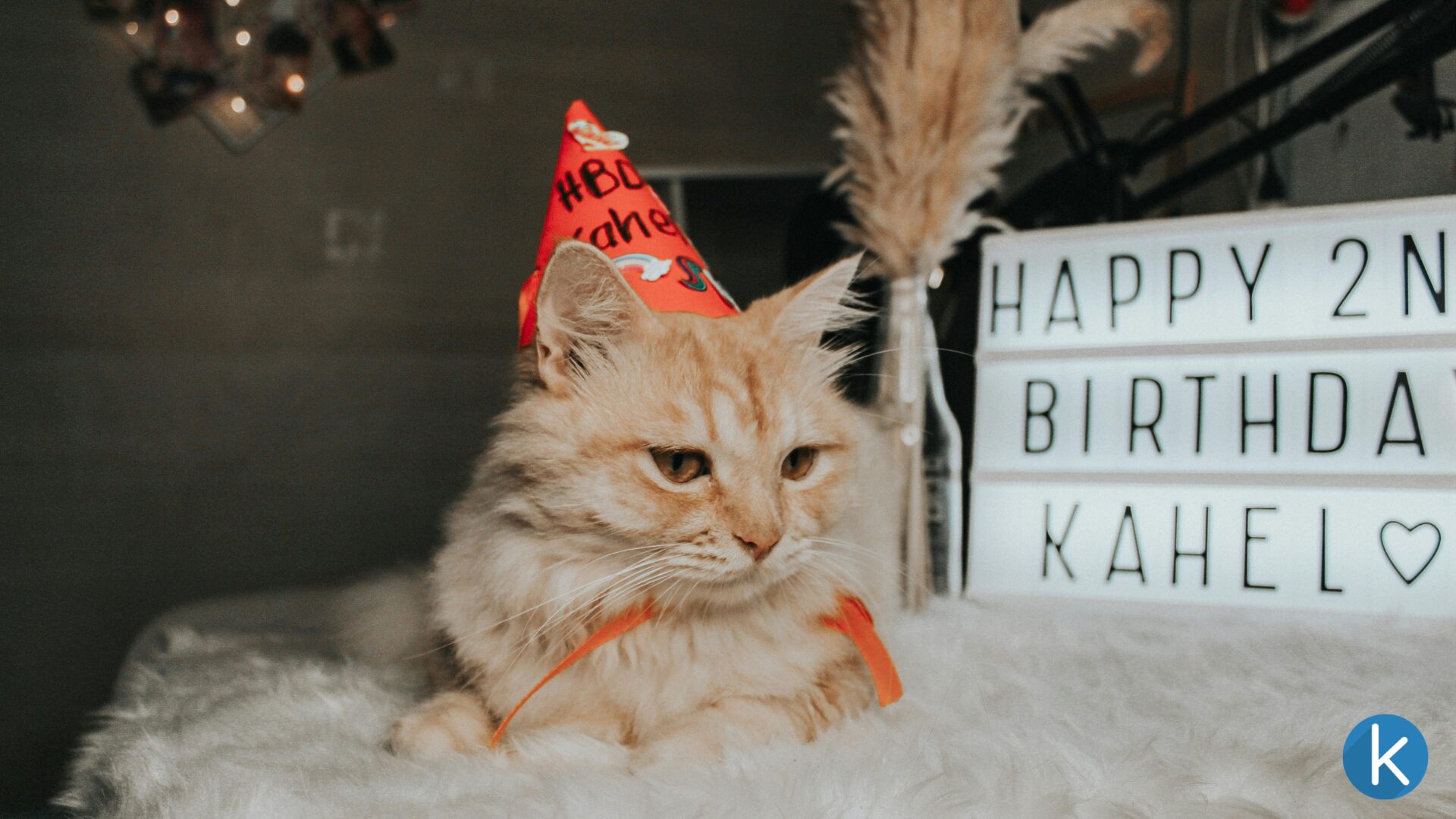 Funny Birthday Wishes for a Cousin