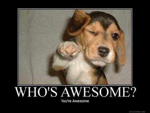 puppy meme to celebrate work anniversary using ecard
