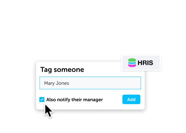 Tagging, likes, & comments